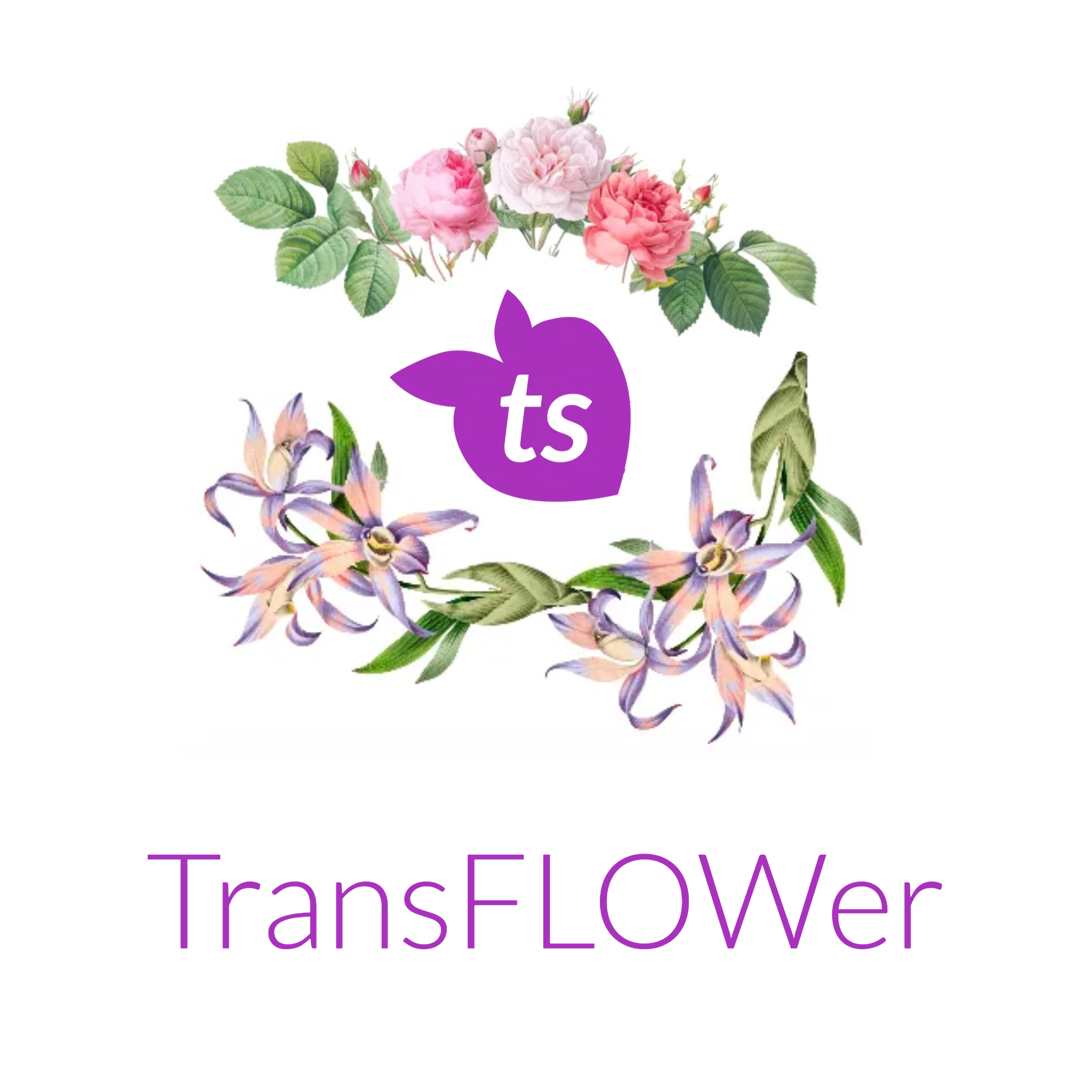 tsgabrielle® • Trans / Femme • TransFLOWer • Bikini coupe V • Bas • Blanc