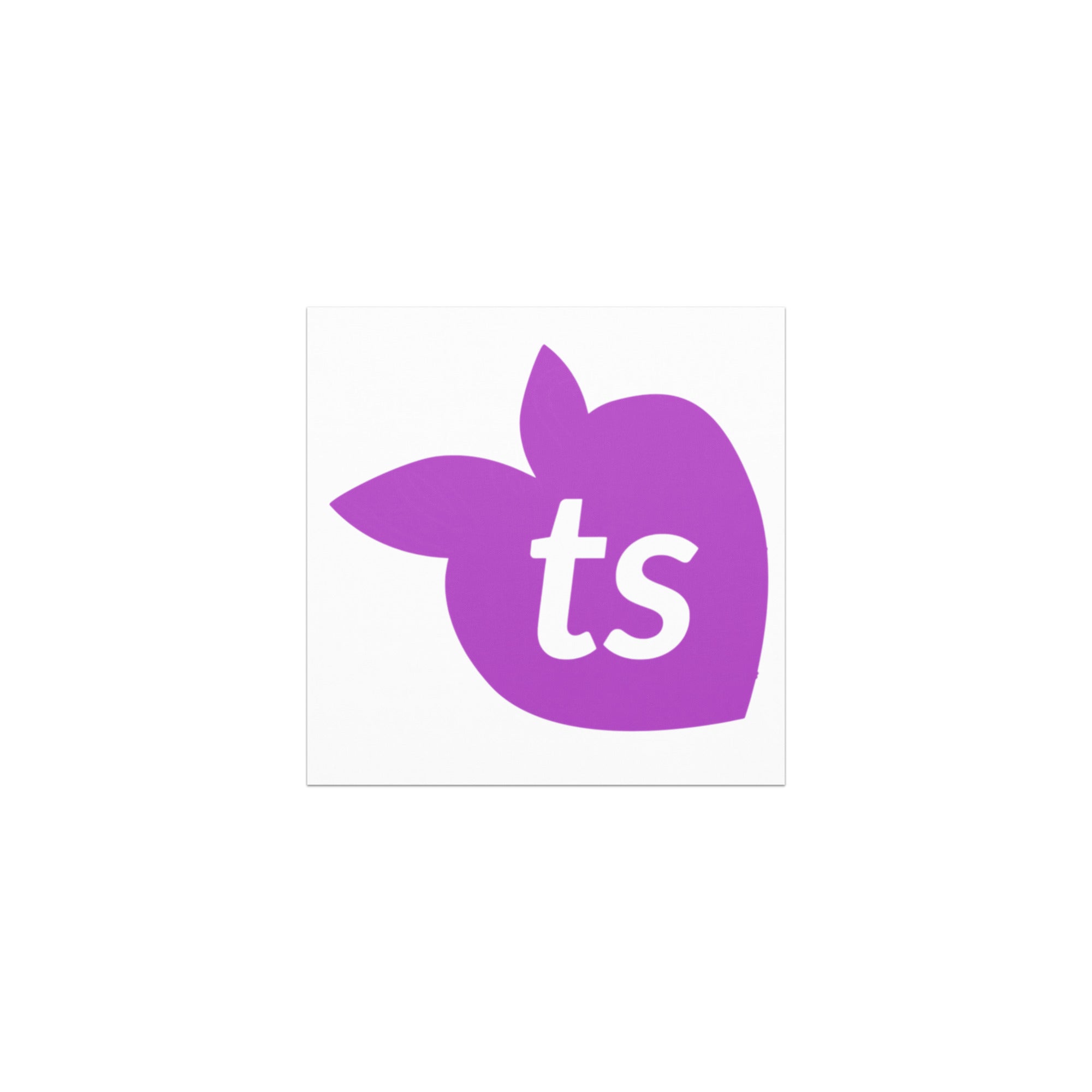 tsgabrielle® • Aimants de voiture • Blanc • 2 tailles