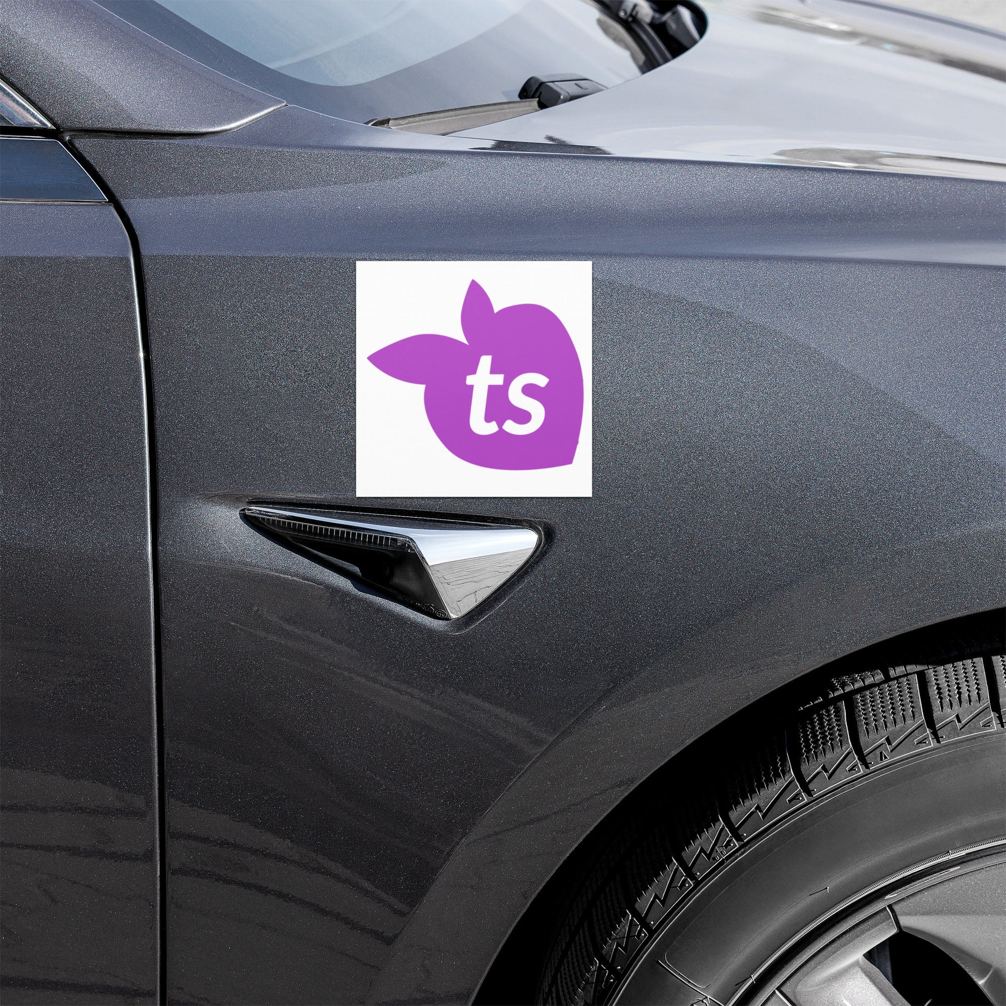tsgabrielle® • Aimants de voiture • Blanc • 2 tailles