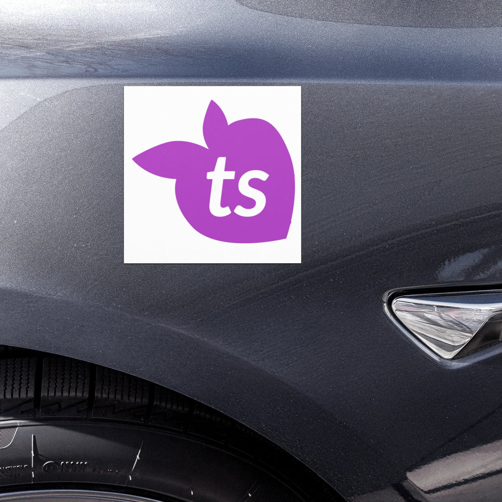 tsgabrielle® • Aimants de voiture • Blanc • 2 tailles