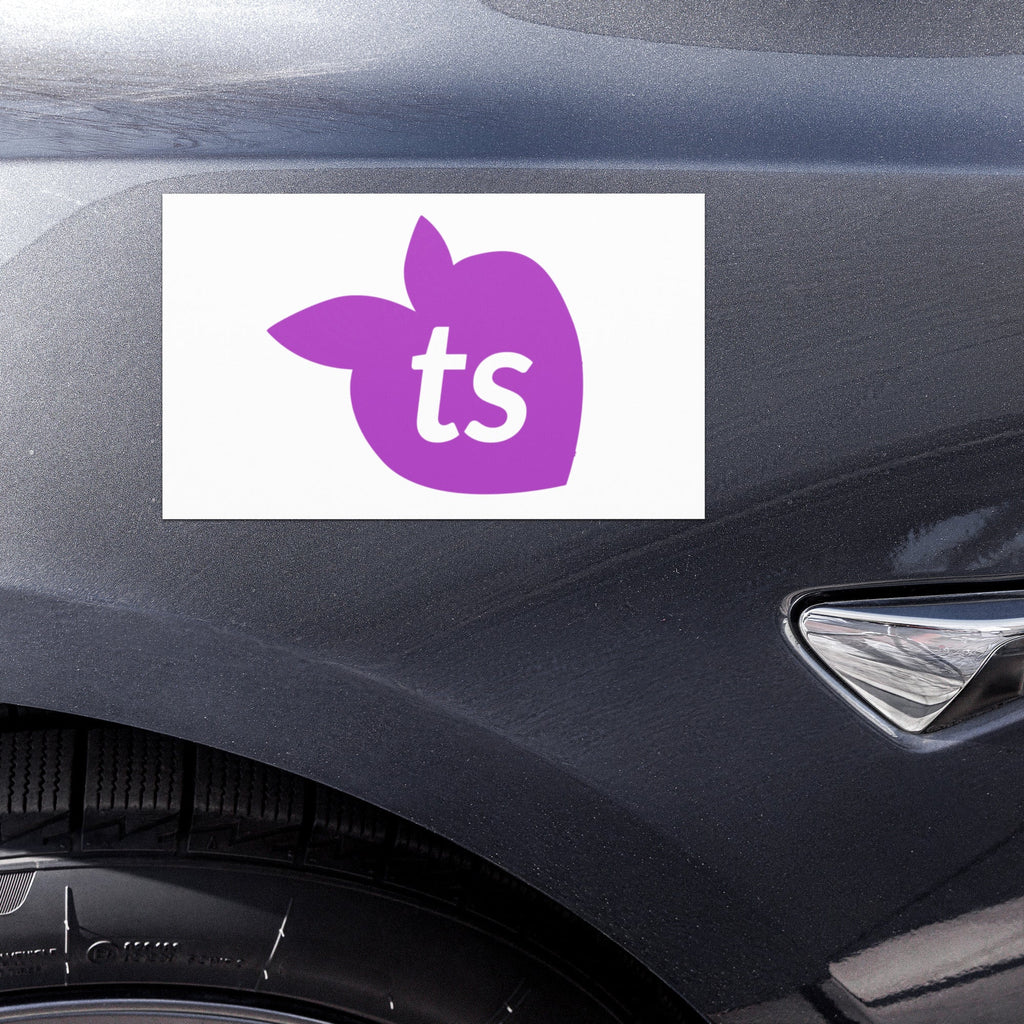 tsgabrielle® • Aimants de voiture • Blanc • 2 tailles