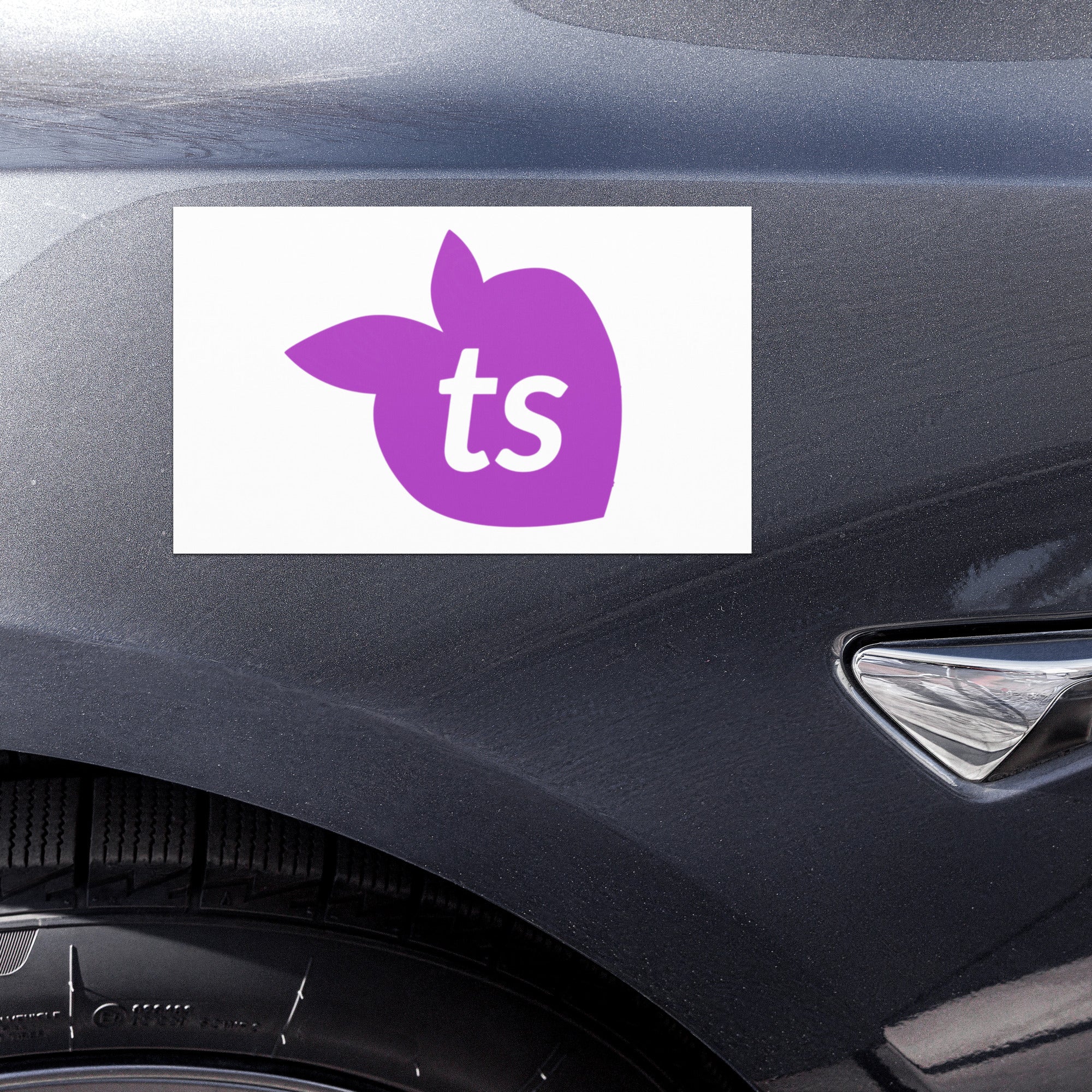 tsgabrielle® • Aimants de voiture • Blanc • 2 tailles