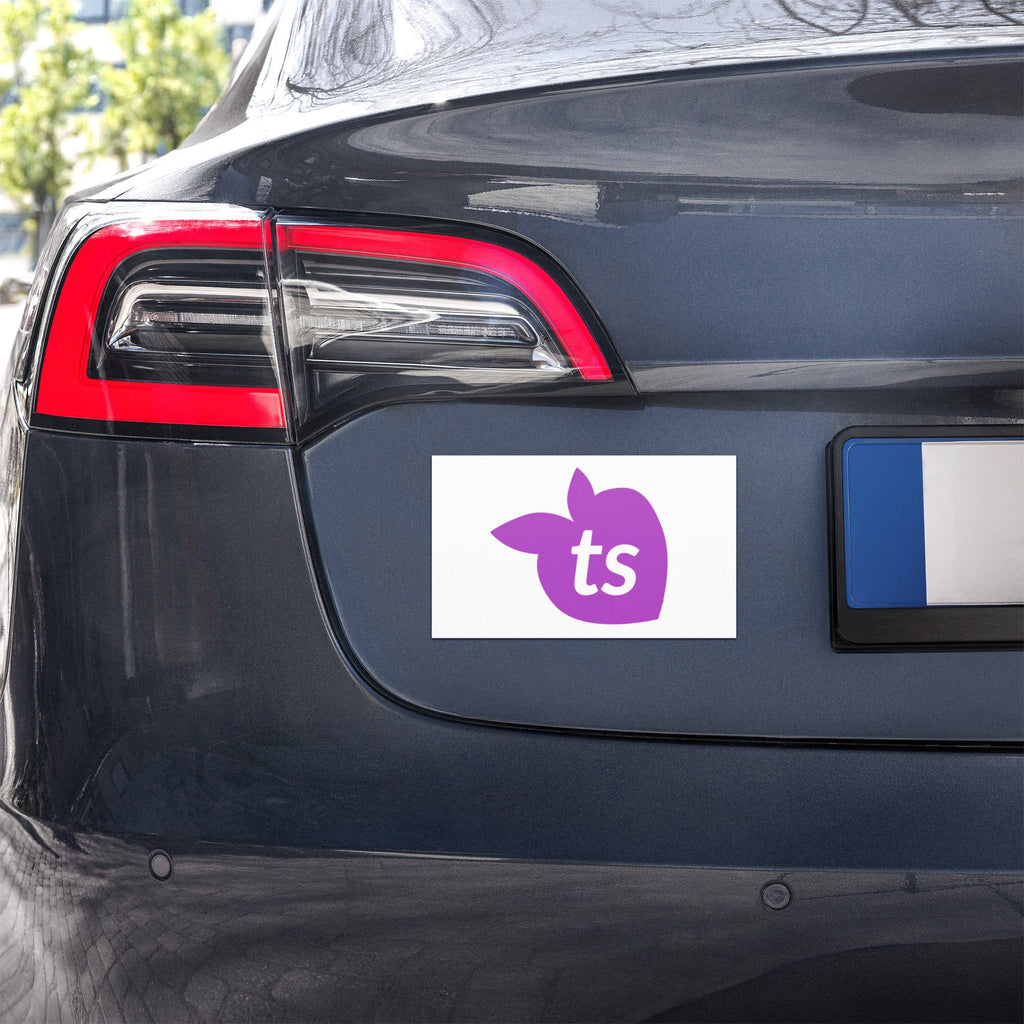 tsgabrielle® • Aimants de voiture • Blanc • 2 tailles