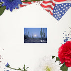 tsgabrielle® • Arizona - Parc national de Saguaro • Autocollant sans bulles • 3 tailles