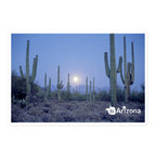 tsgabrielle® • Arizona - Parc national de Saguaro • Autocollant sans bulles • 3 tailles