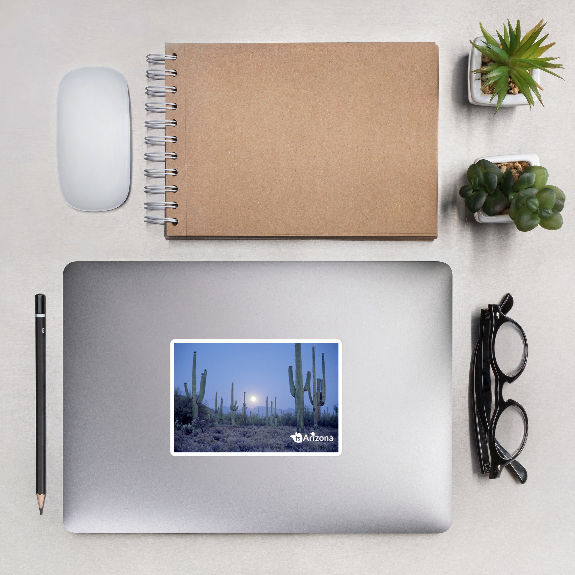 tsgabrielle® • Arizona - Parc national de Saguaro • Autocollant sans bulles • 3 tailles