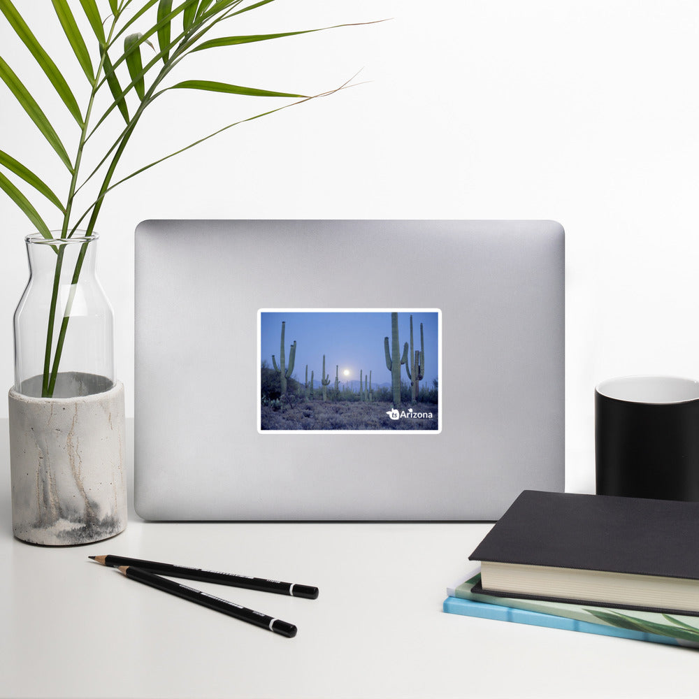 tsgabrielle® • Arizona - Parc national de Saguaro • Autocollant sans bulles • 3 tailles