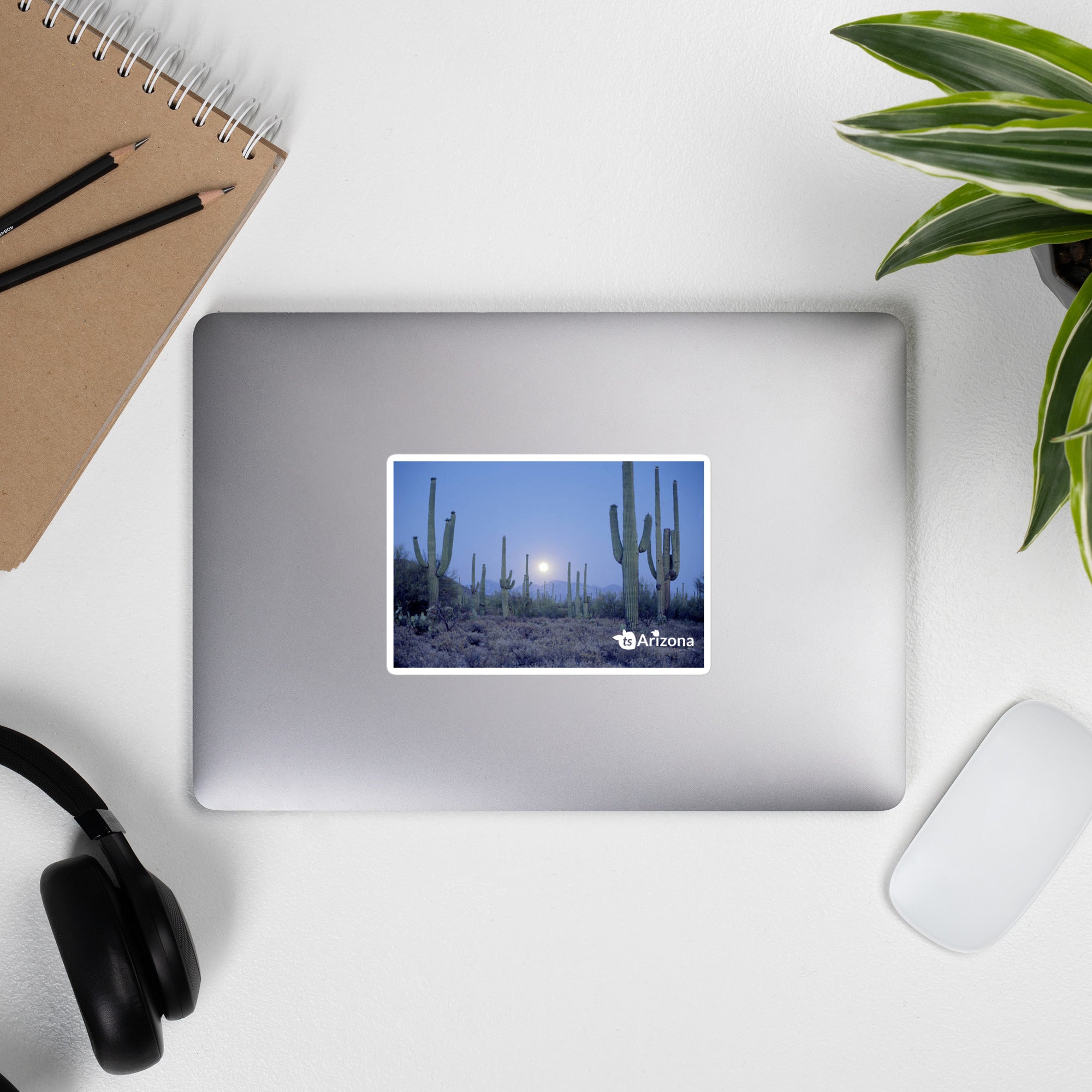 tsgabrielle® • Arizona - Parc national de Saguaro • Autocollant sans bulles • 3 tailles