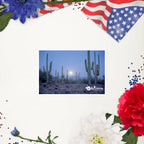 tsgabrielle® • Arizona - Parc national de Saguaro • Autocollant sans bulles • 3 tailles