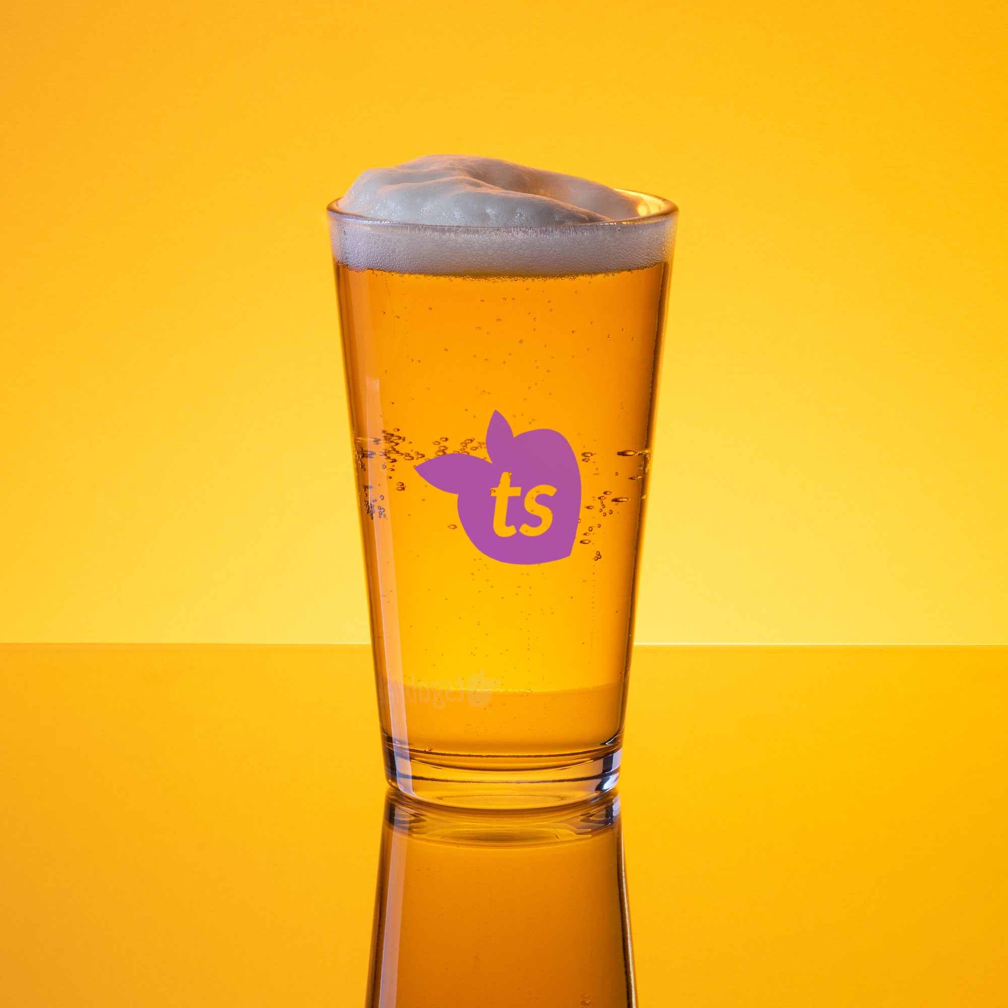 tsgabrielle® • Shaker Pint Glass • 16 oz •