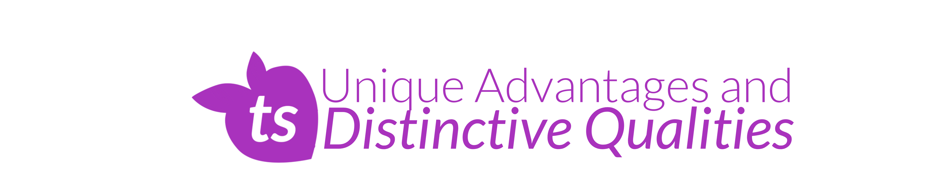 Logo with 'ts' and text 'Unique Advantages and Distinctive Qualities' on a white background