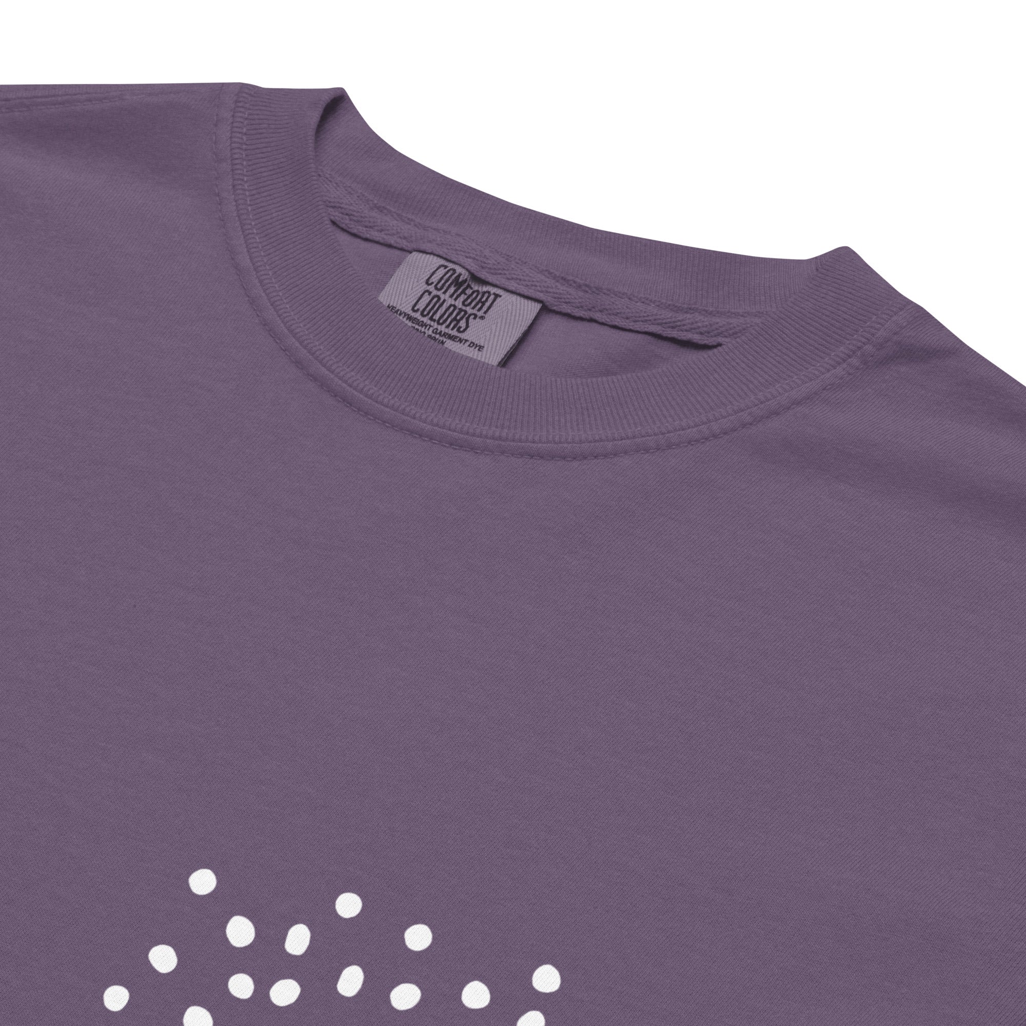 tsgabrielle® • For Her 👗 • ❄️ Glow in Winter 26 • Garment-Dyed Heavyweight T-Shirt • 8 Colors •