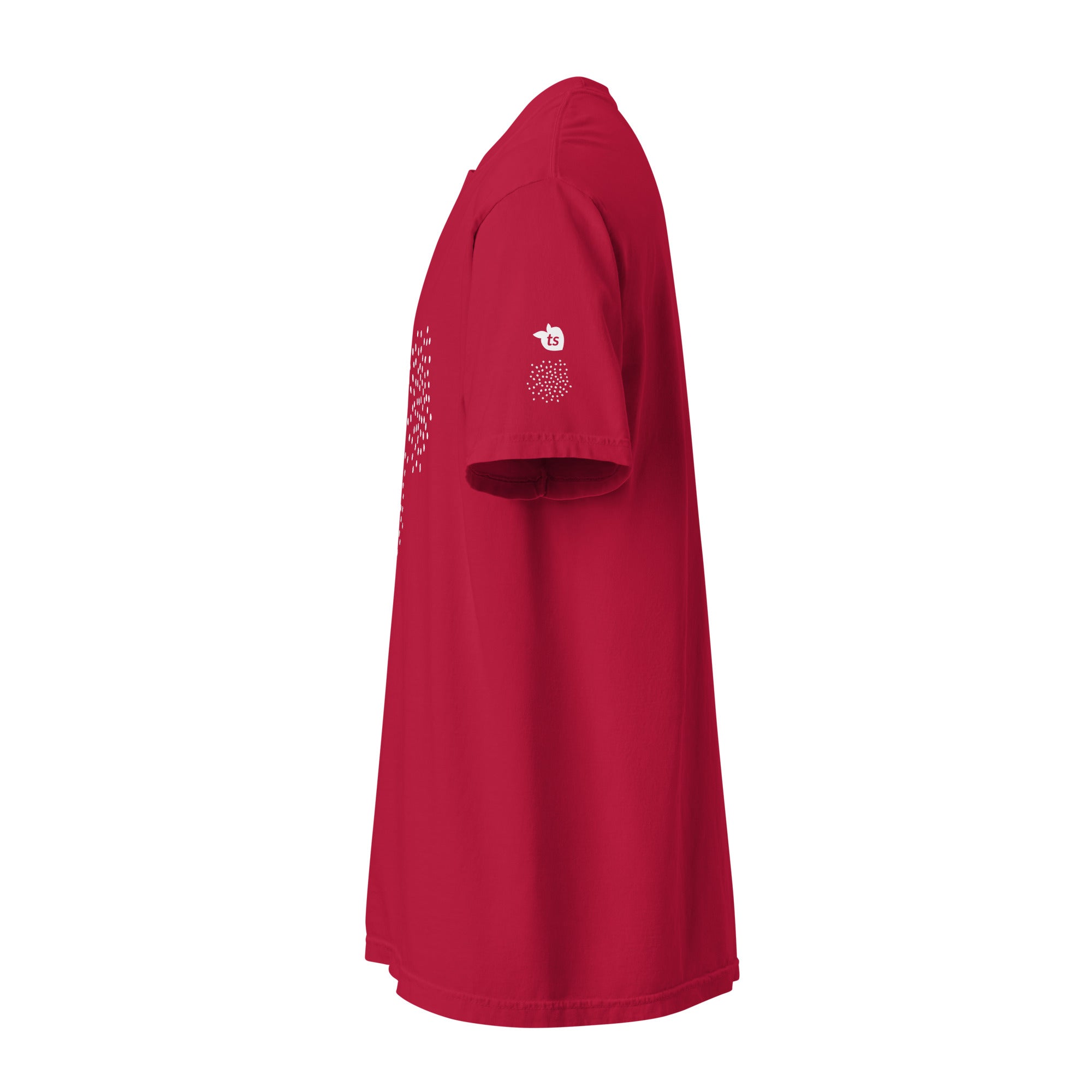 tsgabrielle® • For Her 👗 • ❄️ Glow in Winter 26 • Garment-Dyed Heavyweight T-Shirt • 8 Colors •