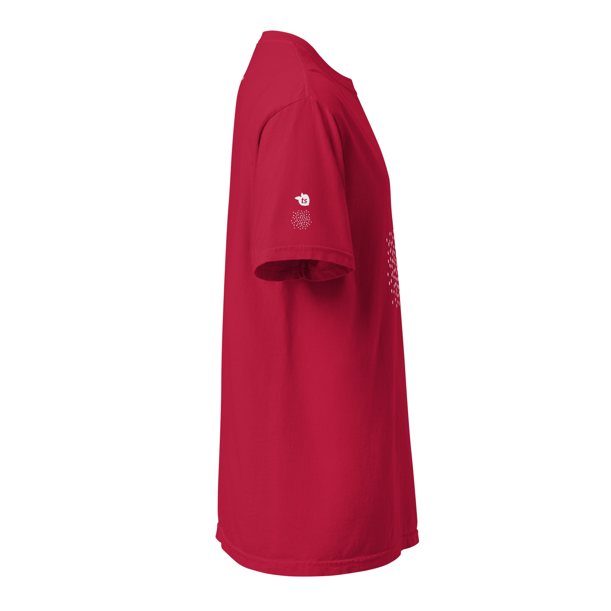 tsgabrielle® • For Her 👗 • ❄️ Glow in Winter 26 • Garment-Dyed Heavyweight T-Shirt • 8 Colors •